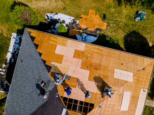 Professional Roofing Contractor in Madisonville, KY
