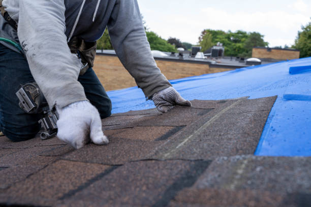 Best Roof Gutter Cleaning  in Madisonville, KY