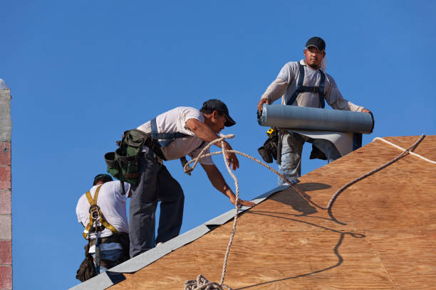 Best Storm Damage Roof Repair  in Madisonville, KY